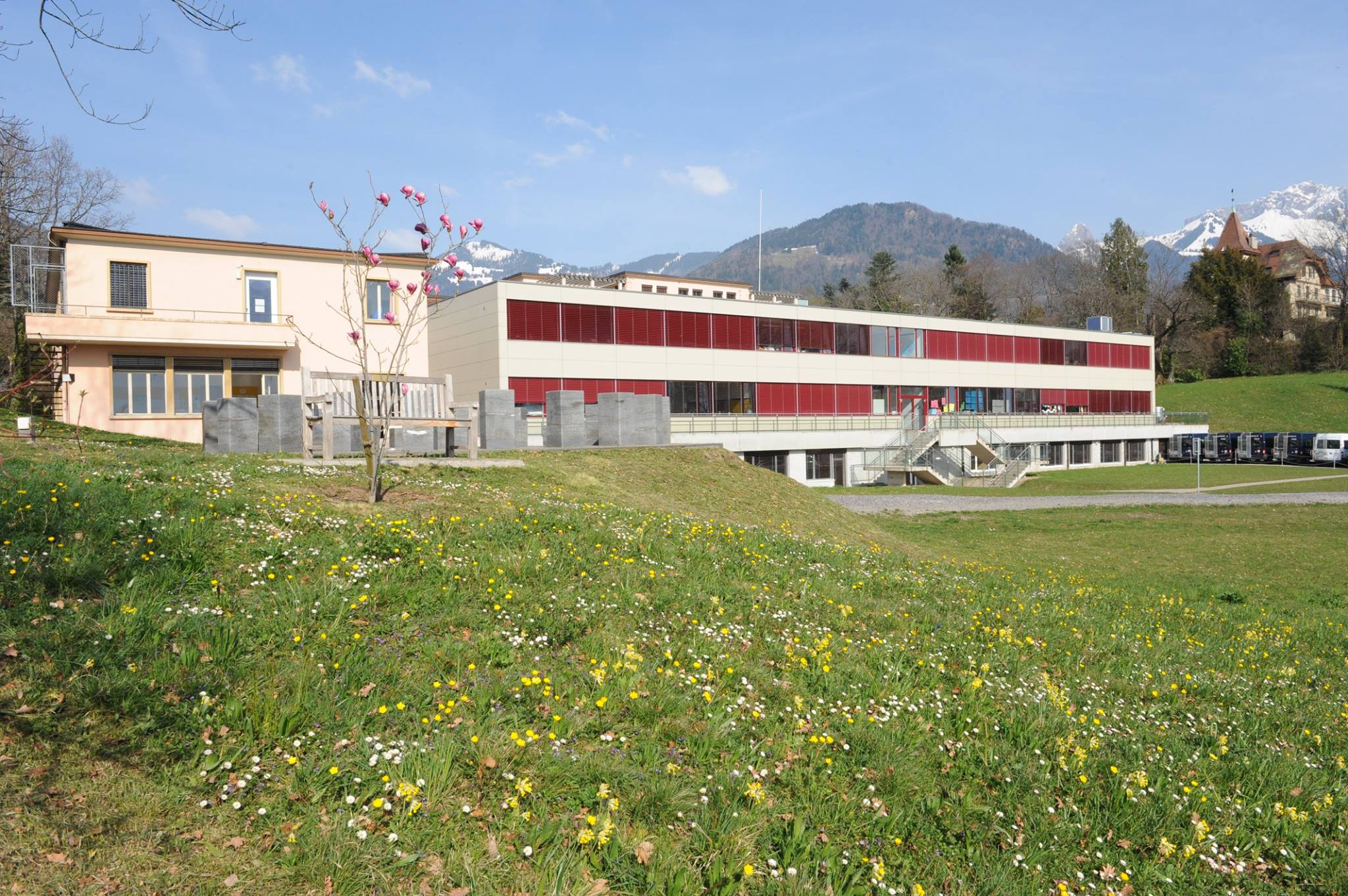 瑞士圣乔治国际学校