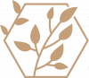 Stellarpath Education