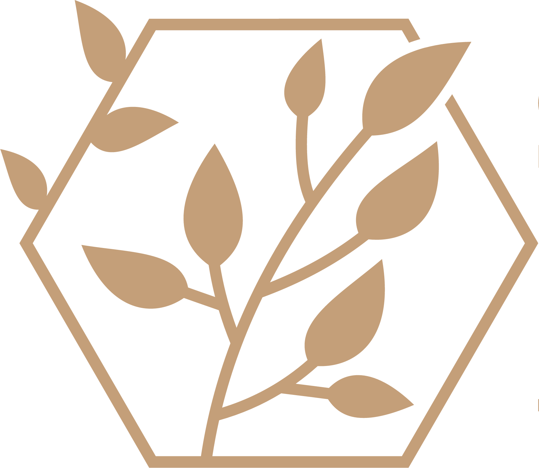 Stellarpath Education